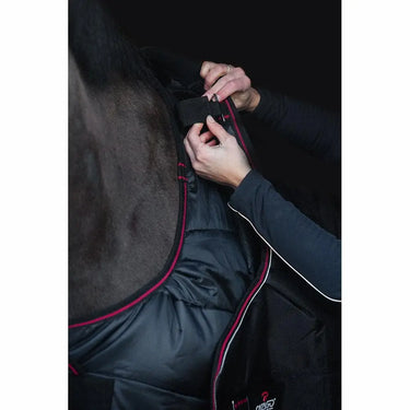 Buy Catago Dual Pro Standard Neck Turnout Rug| Online for Equine