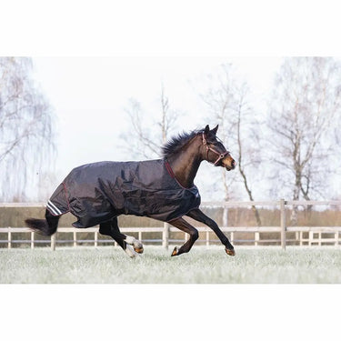 Buy Catago Dual Pro Standard Neck Turnout Rug| Online for Equine