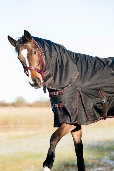 Catago Endurance Rug 500G| Online For Equine