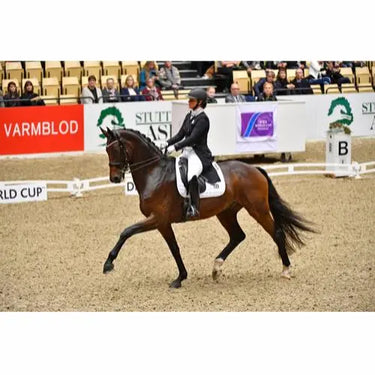 Buy Catago FIR-Tech Dressage Saddle Pad| Online for Equine