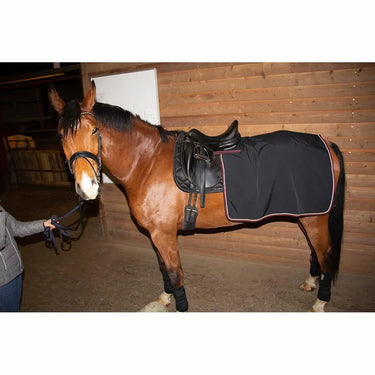 Buy Catago FIR-Tech Endurance Quarter Rug| Online for Equine