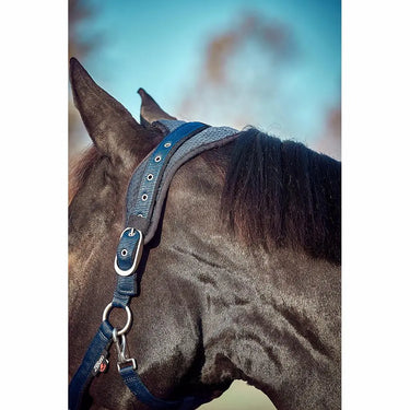 Buy Catago FIR-Tech Halter| Online for Equine