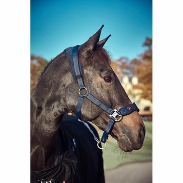 Buy Catago FIR-Tech Halter| Online for Equine