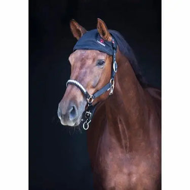 Buy Catago FIR-Tech Hood| Online for Equine