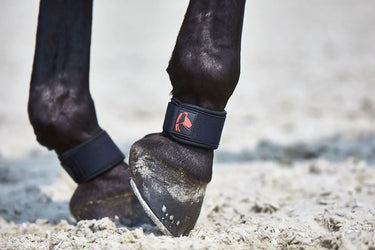 Buy Catago FIR-Tech Pastern Wrap| Online for Equine