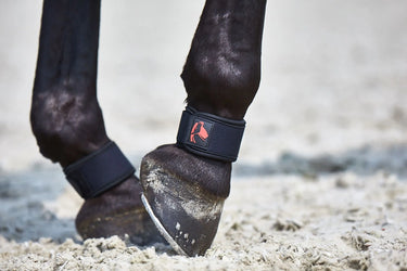 Buy Catago FIR-Tech Pastern Wrap| Online for Equine