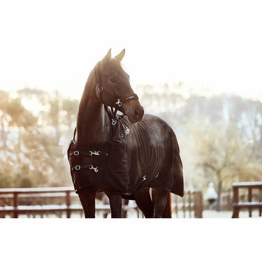 Buy Catago FIR-Tech Standard Neck Rug| Online for Equine