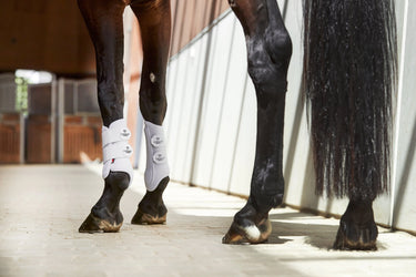 Catago FIR-Tech Training Boots| Online For Equine