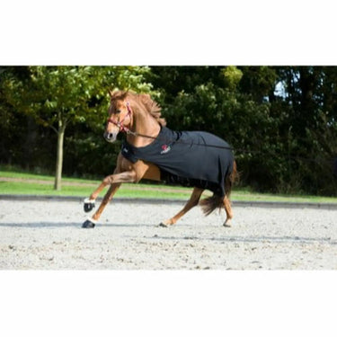 Buy Digby & Fox Bandana | Online for Equine