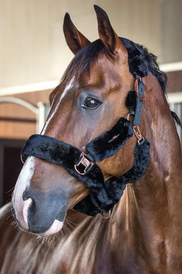 Buy Catago Faux Fur Halter| Online for Equine