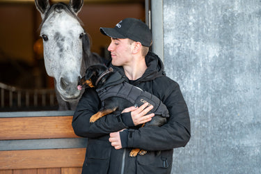 Catago Fir-Tech Puffer Dog Rug| Online For Equine