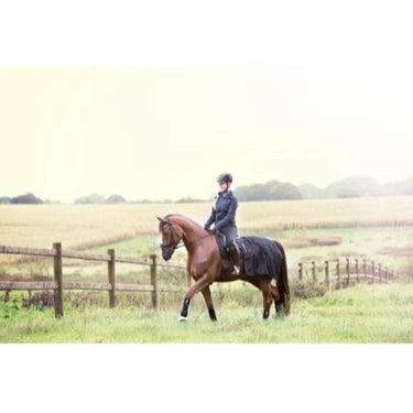 Buy Catago Fir-Tech Quarter Rug| Online for Equine