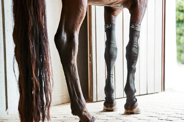 Catago Fir-Tech Stocking Front Legs| Online For Equine