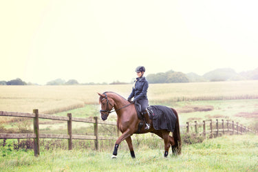 Catago Fleece/Fir Bandage| Online For Equine