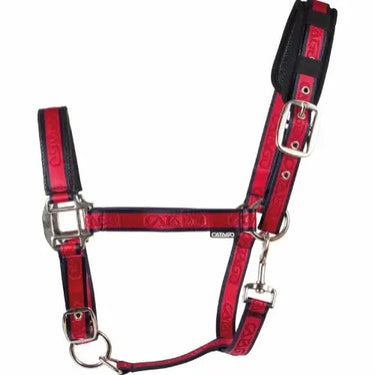 Buy Catago Halter| Online for Equine
