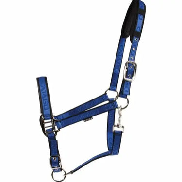 Buy Catago Halter| Online for Equine