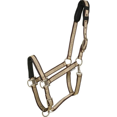 Buy Catago Halter| Online for Equine
