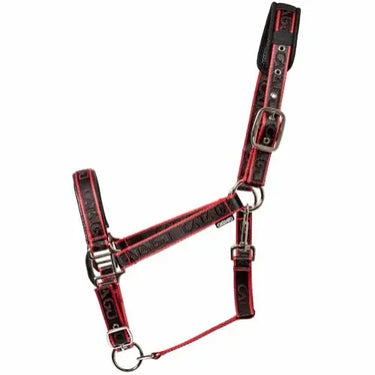 Buy Catago Halter| Online for Equine