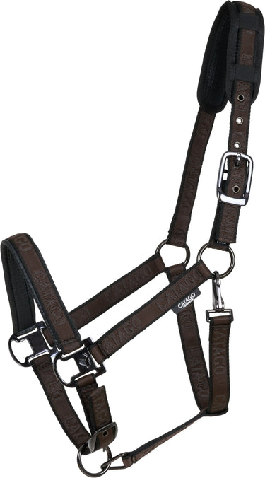 Catago Halter| Online For Equine