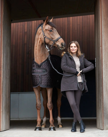 Catago Halter| Online For Equine