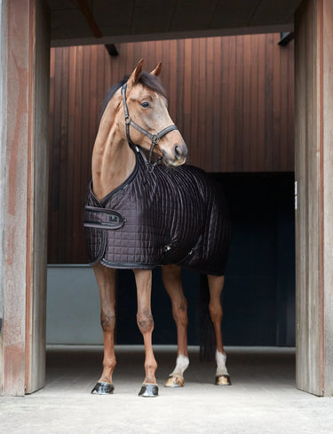 Catago Halter| Online For Equine