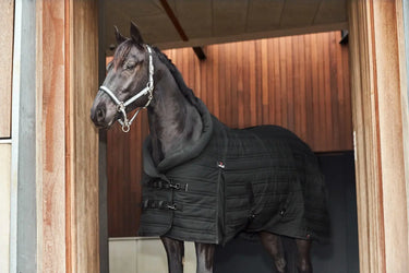 Buy Catago Hybrid 200g Standard Neck Stable Rug| Online for Equine