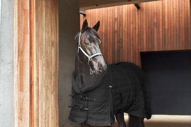 Buy Catago Hybrid 200g Standard Neck Stable Rug| Online for Equine