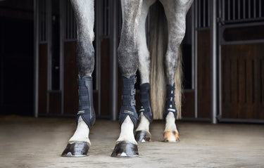 Catago Hybrid Dressage Boot| Online For Equine