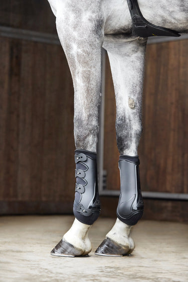 Catago Hybrid Dressage Boot| Online For Equine