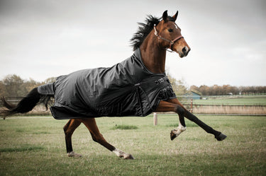 Catago Justin 2.0 Rug 300G| Online For Equine
