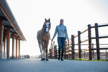 Catago Ladies Benja Zip Cardigan| Online For Equine