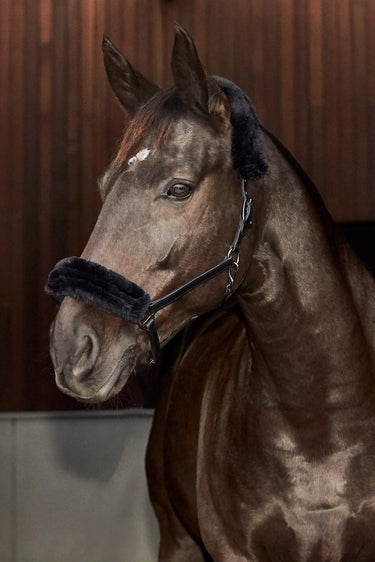 Catago Leather Halter With Faux Fur| Online For Equine