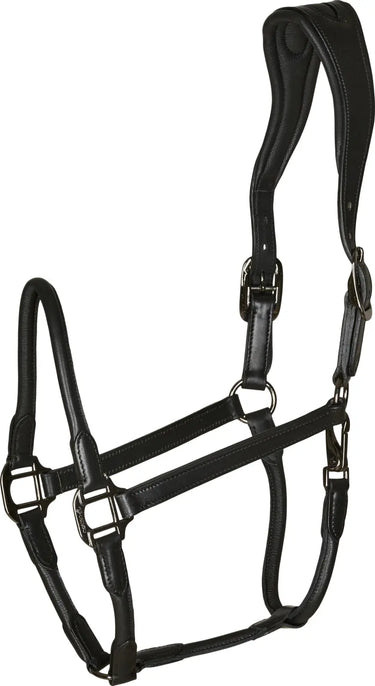 Buy Catago Leather Halter | Online for Equine