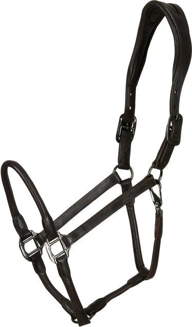Buy Catago Leather Halter | Online for Equine