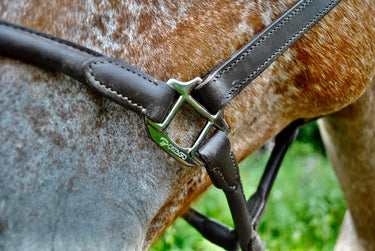 Buy Catago Leather Halter | Online for Equine