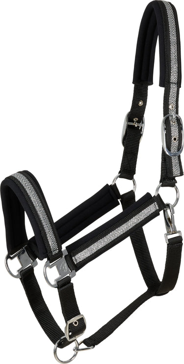 Catago Nate Halter| Online For Equine