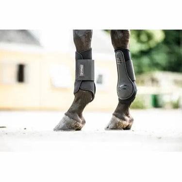 Buy Catago Neoprene Boots| Online for Equine
