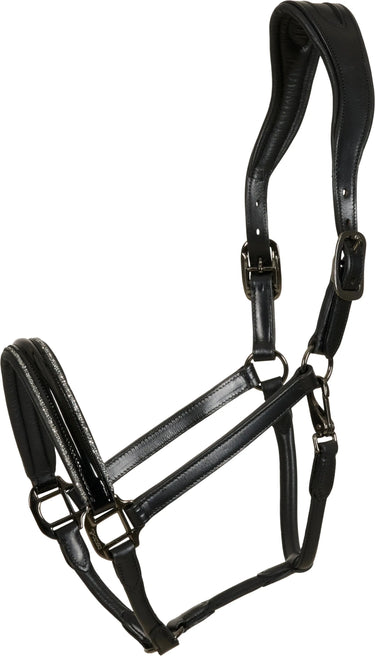 Catago Novi 24.2 Halter| Online For Equine