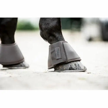 Buy Catago Premium Bell Boots| Online for Equine