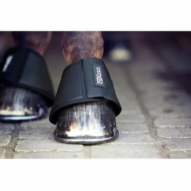 Buy Catago Premium Bell Boots| Online for Equine