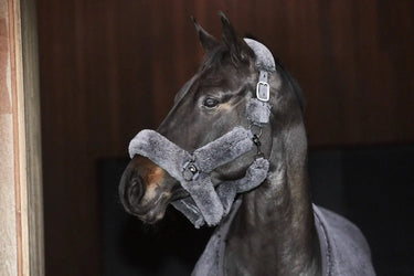 Buy Catago Quick Dry Towel Headcollar| Online for Equine