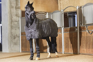 Buy Catago Quick Dry Towel Leg Wraps| Online for Equine