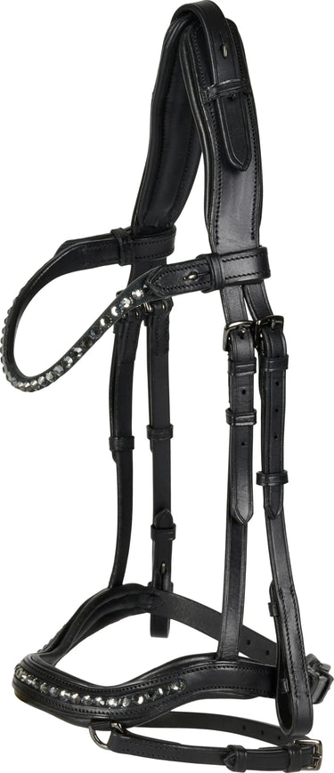Catago Raja Icelandic Bridle| Online For Equine