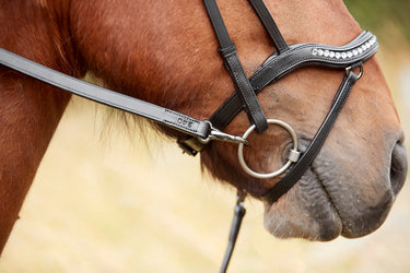 Catago Raja Icelandic Bridle| Online For Equine