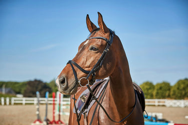 Catago Sienna Jumping Bridle With Flash| Online For Equine