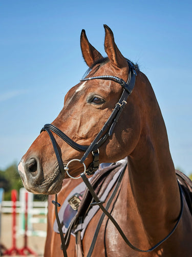 Catago Sienna Jumping Bridle With Flash| Online For Equine