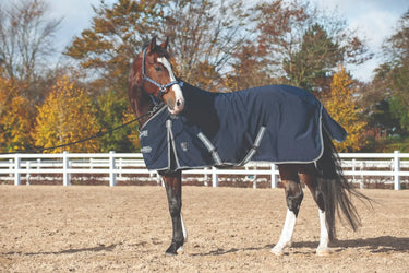 Buy Catago Summer Rug| Online for Equine