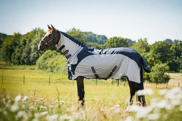 Catago Taylin Waterproof Rain & Fly Rug| Online For Equine