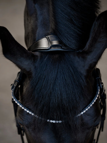 Catago Tori Bridle| Online For Equine
