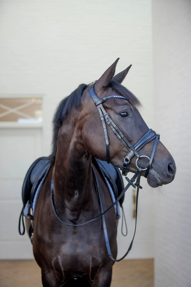 Catago Tori Bridle| Online For Equine